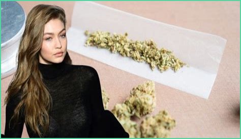 Gigi Hadid Mugshot: Is Gigi Hadid Arrested For Cocaine Or Cannabis?